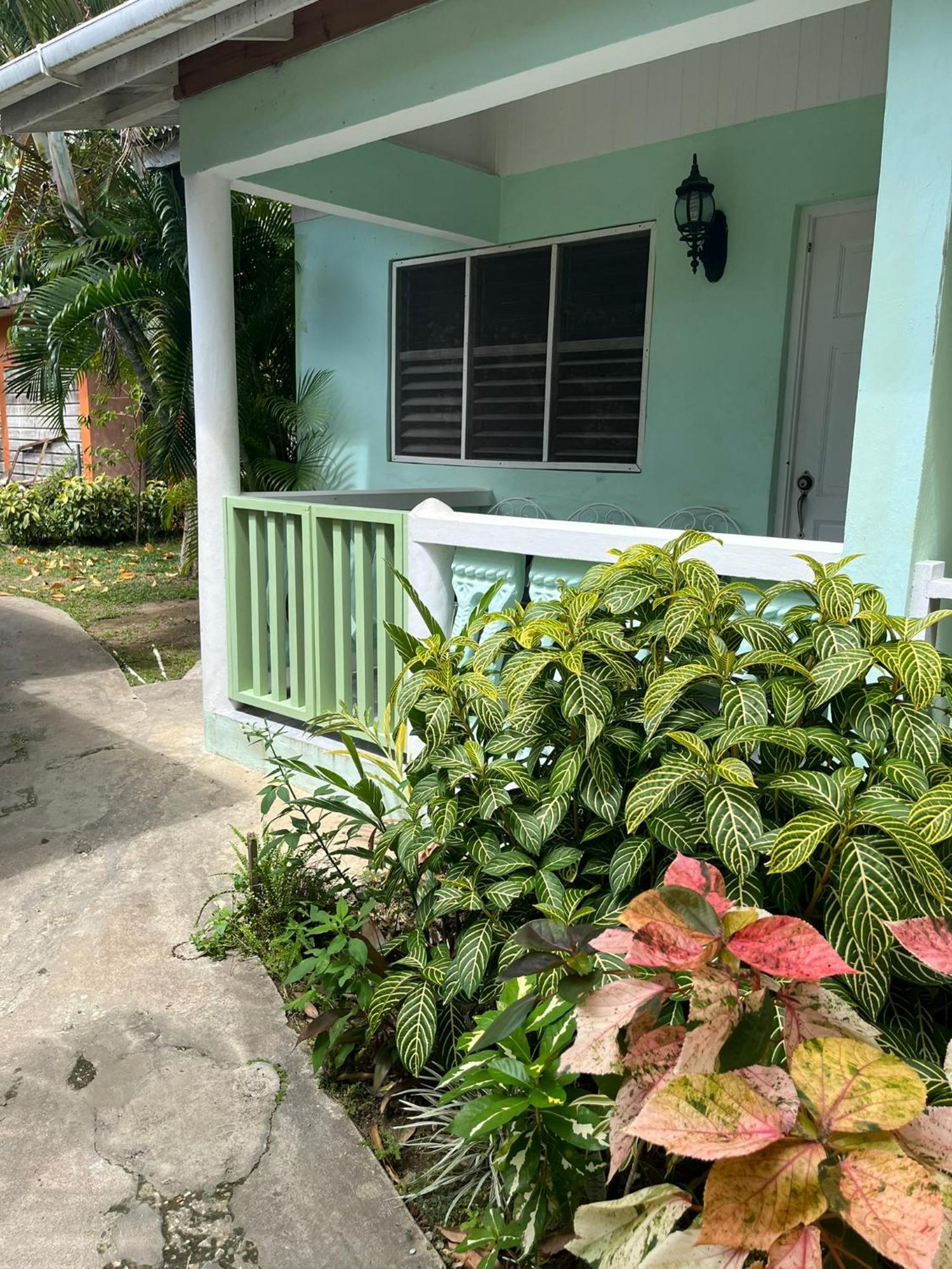 Andre'S Guest House نيغريل المظهر الخارجي الصورة