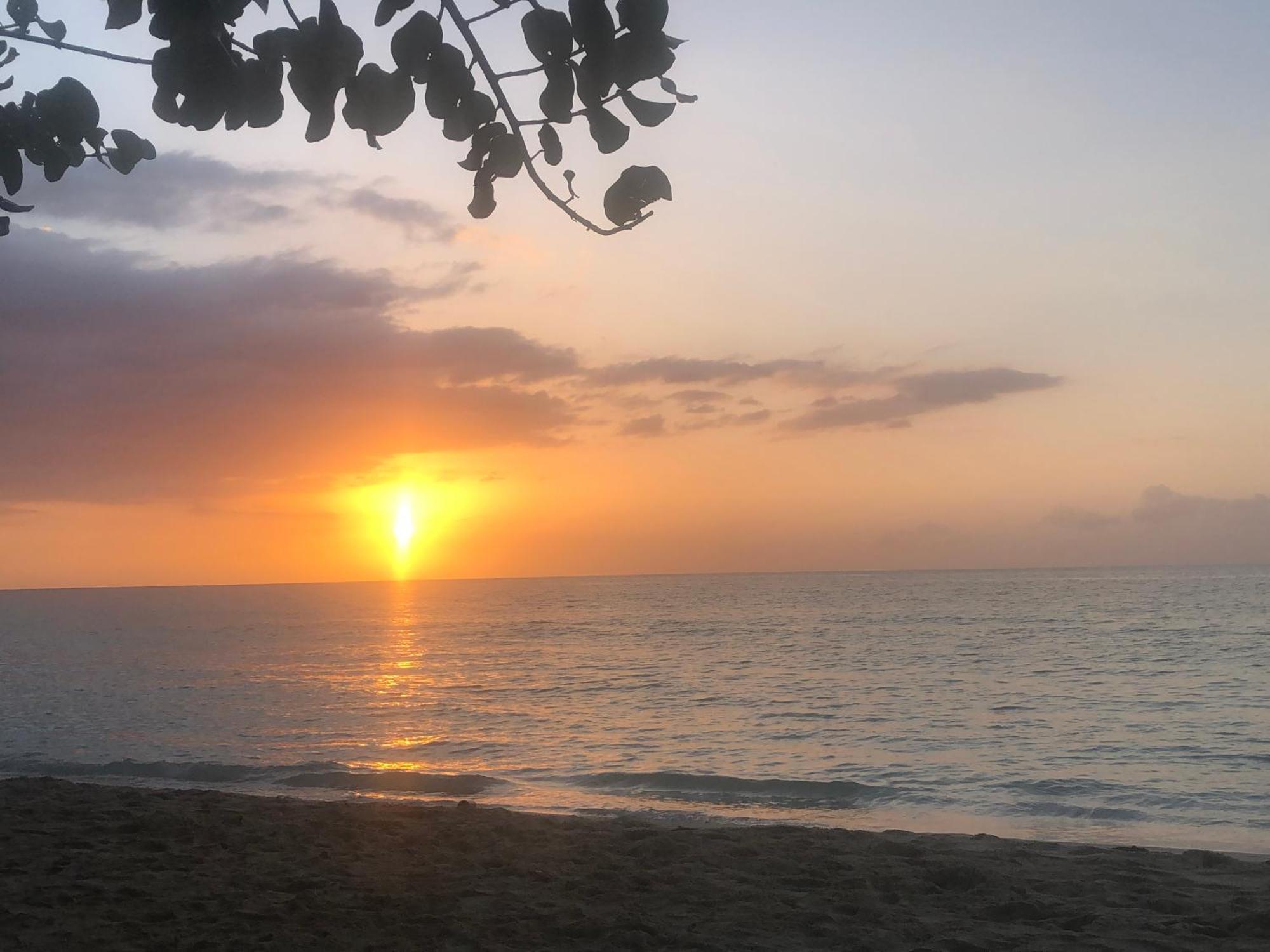Andre'S Guest House نيغريل المظهر الخارجي الصورة